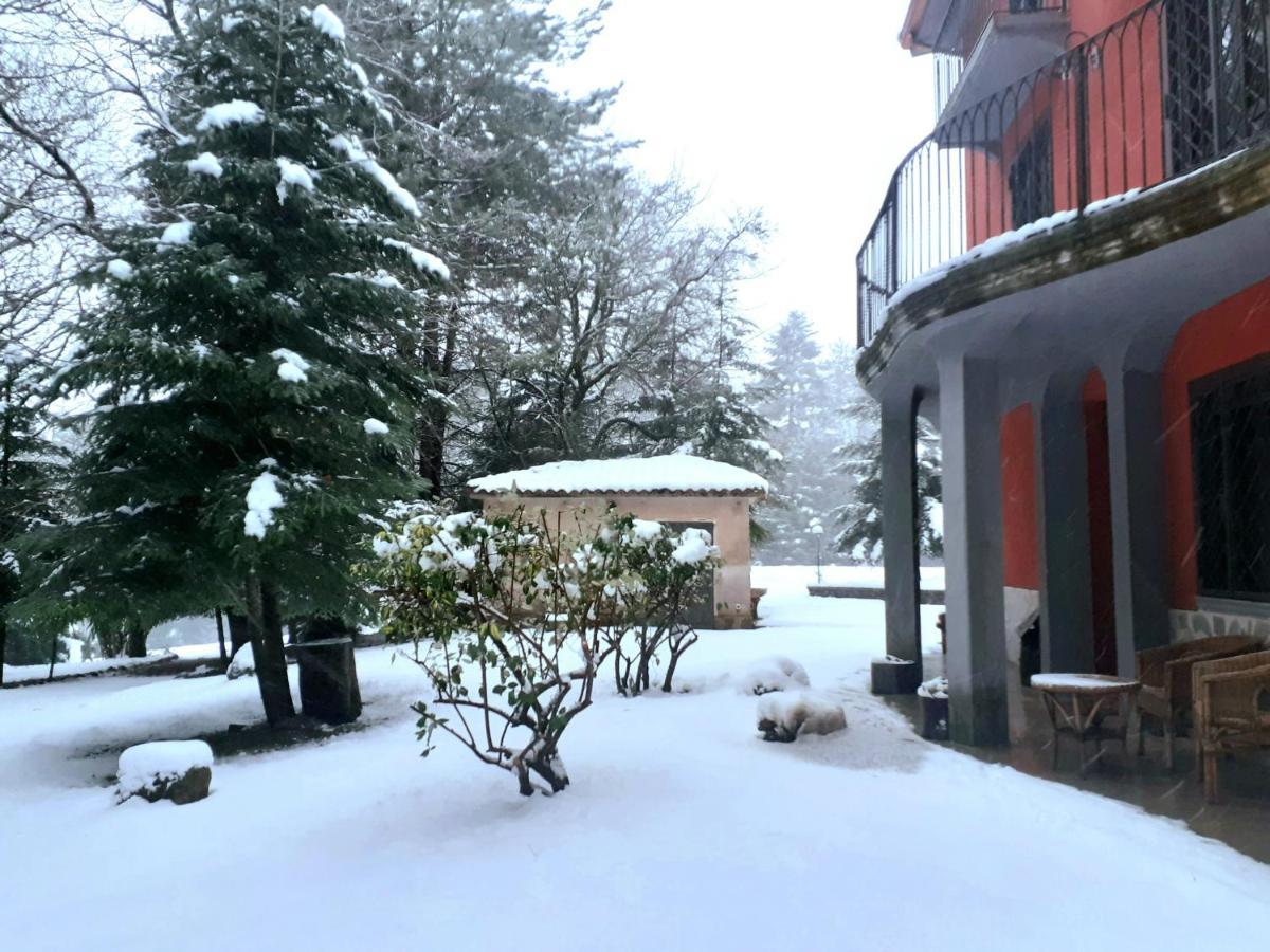 모라노 칼라브로 Casa Alegria B&B 외부 사진